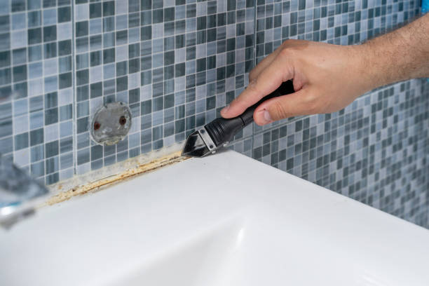 Best Black Mold Removal  in Princevle, IL