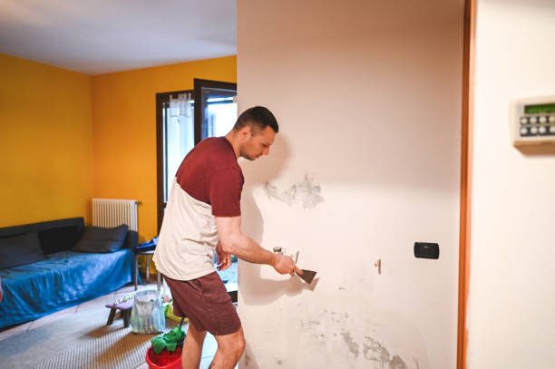 Best Home Mold Removal  in Princevle, IL